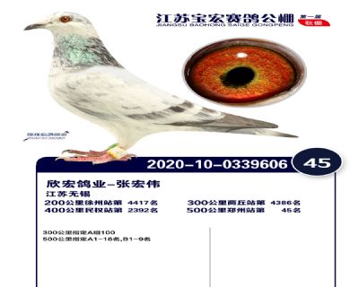 江蘇寶宏決賽45名
