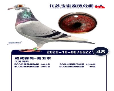 江蘇寶宏決賽48名