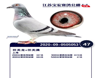 江蘇寶宏決賽47名