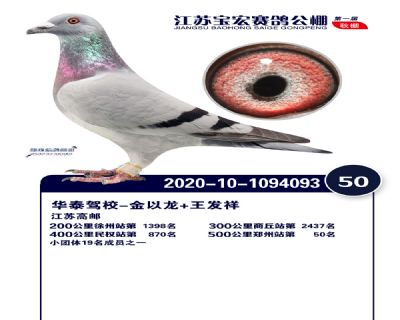 江蘇寶宏決賽50名