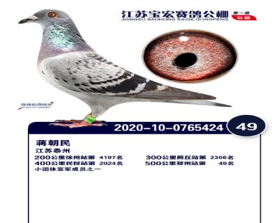 江蘇寶宏決賽49名