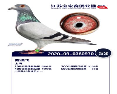 江蘇寶宏決賽53名