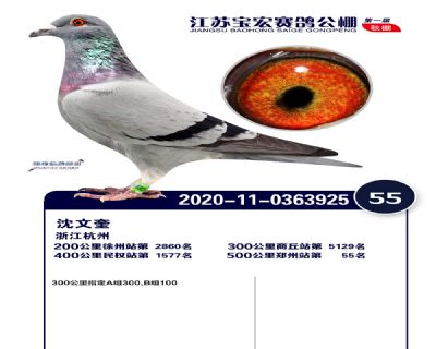 江蘇寶宏決賽55名