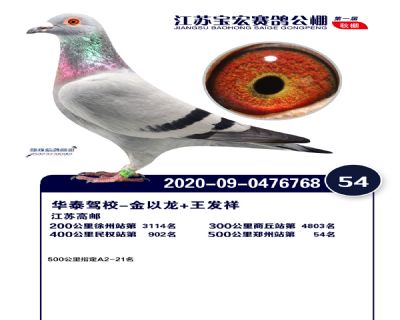 江蘇寶宏決賽54名