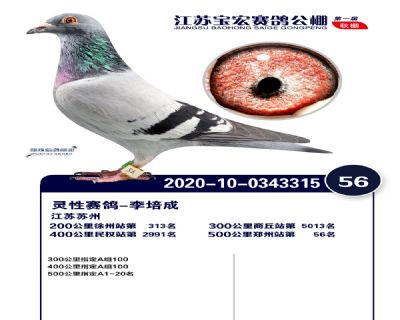 江蘇寶宏決賽56名