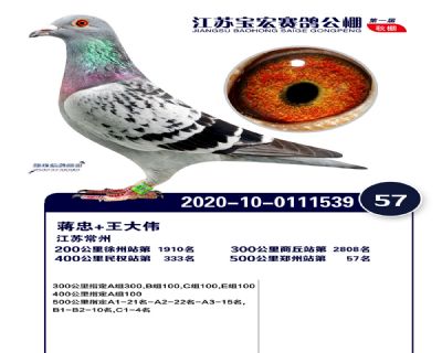 江蘇寶宏決賽57名