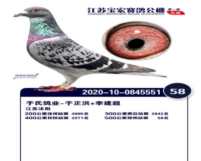 江蘇寶宏決賽58名