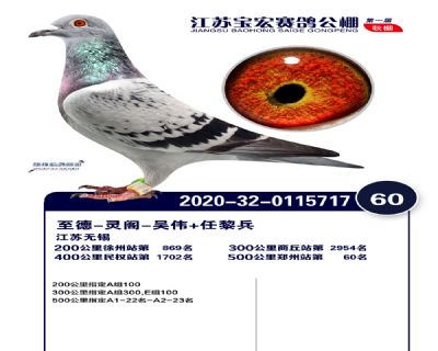 江蘇寶宏決賽60名