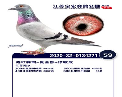 江蘇寶宏決賽59名
