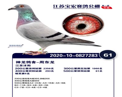 江蘇寶宏決賽61名