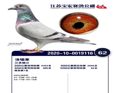 江蘇寶宏決賽62名