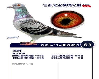江蘇寶宏決賽63名
