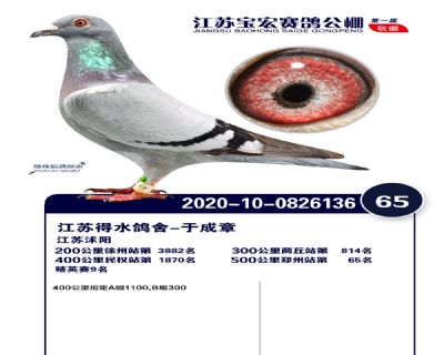 江蘇寶宏決賽65名