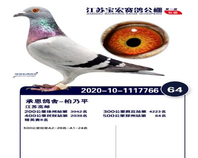 江蘇寶宏決賽64名