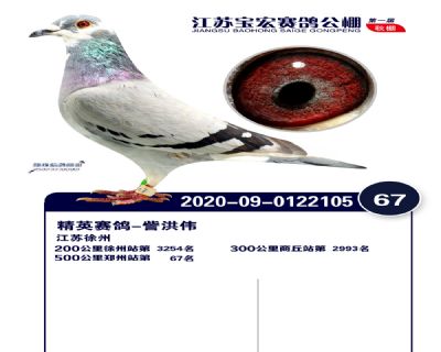 江蘇寶宏決賽67名