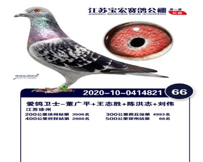 江蘇寶宏決賽66名