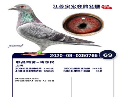江蘇寶宏決賽69名