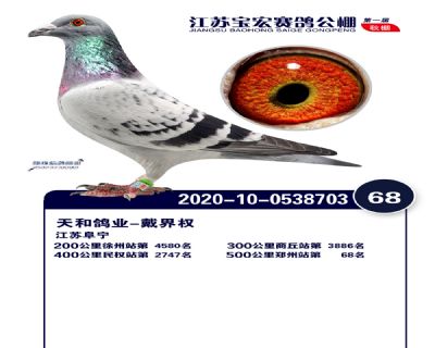 江蘇寶宏決賽68名