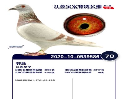江蘇寶宏決賽70名