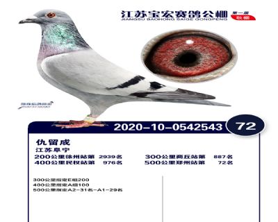 江蘇寶宏決賽72名
