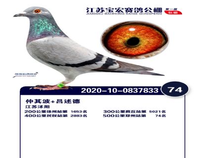 江蘇寶宏決賽74名