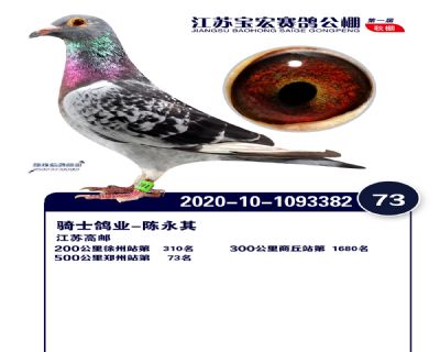 江蘇寶宏決賽73名