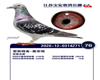 江蘇寶宏決賽76名
