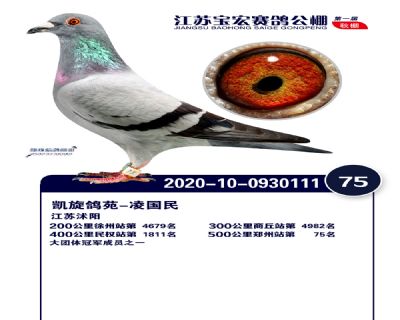 江蘇寶宏決賽75名