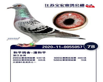 江蘇寶宏決賽78名
