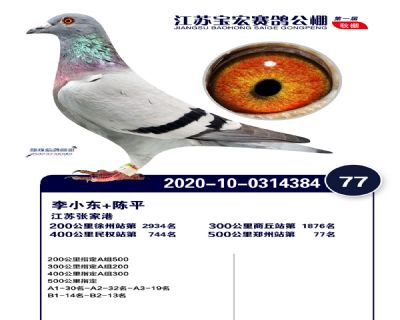 江蘇寶宏決賽77名