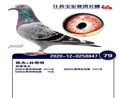 江蘇寶宏決賽79名