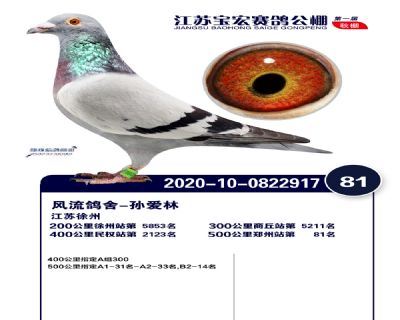 江蘇寶宏決賽81名