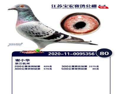 江蘇寶宏決賽80名