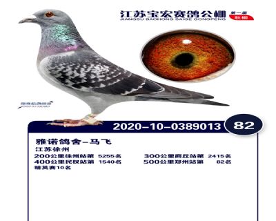 江蘇寶宏決賽82名