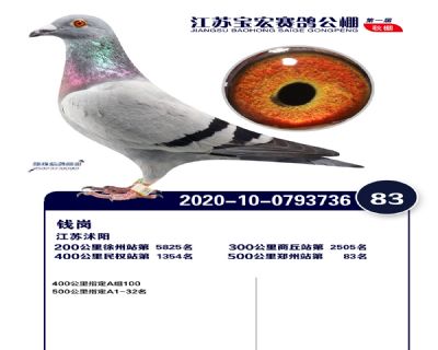 江蘇寶宏決賽83名