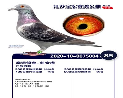 江蘇寶宏決賽85名