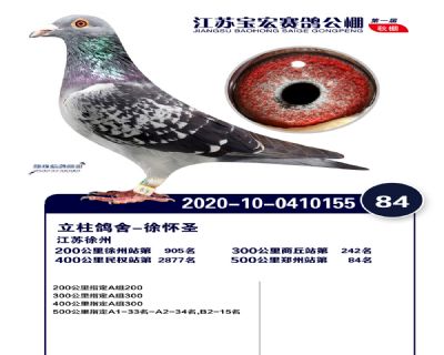 江蘇寶宏決賽84名
