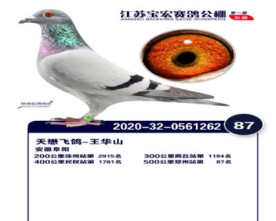 江蘇寶宏決賽87名