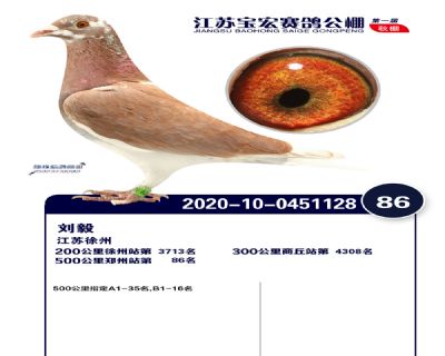 江蘇寶宏決賽86名