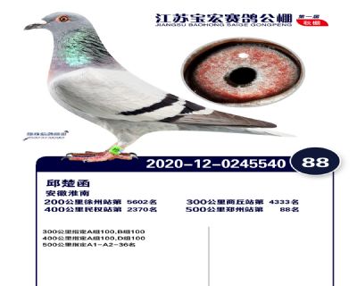 江蘇寶宏決賽88名