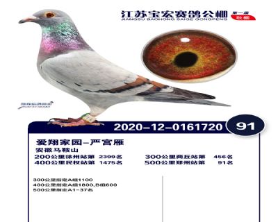江蘇寶宏決賽91名