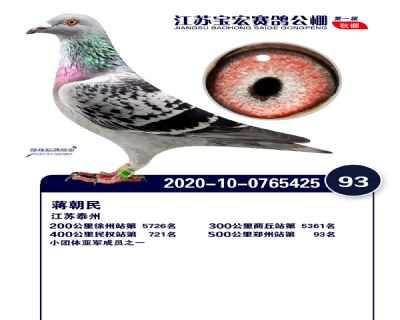 江蘇寶宏決賽93名