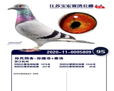 江蘇寶宏決賽95名