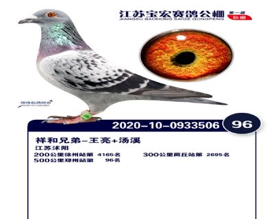 江蘇寶宏決賽96名