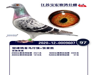 江蘇寶宏決賽97名