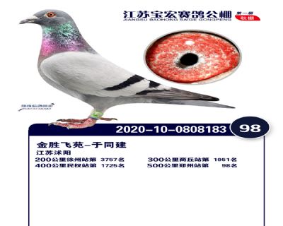 江蘇寶宏決賽98名