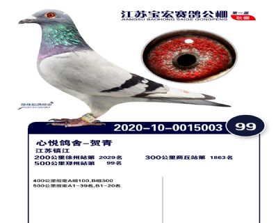 江蘇寶宏決賽99名
