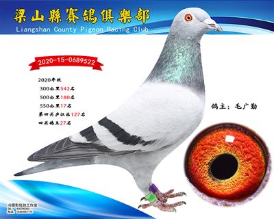 36