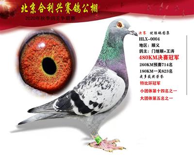 北京合利興公棚決賽冠軍