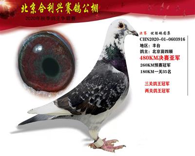 北京合利興公棚決賽亞軍